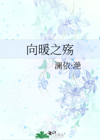 向暖之殇