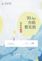 假如你能看见我