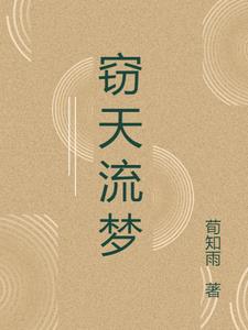 窃天流梦